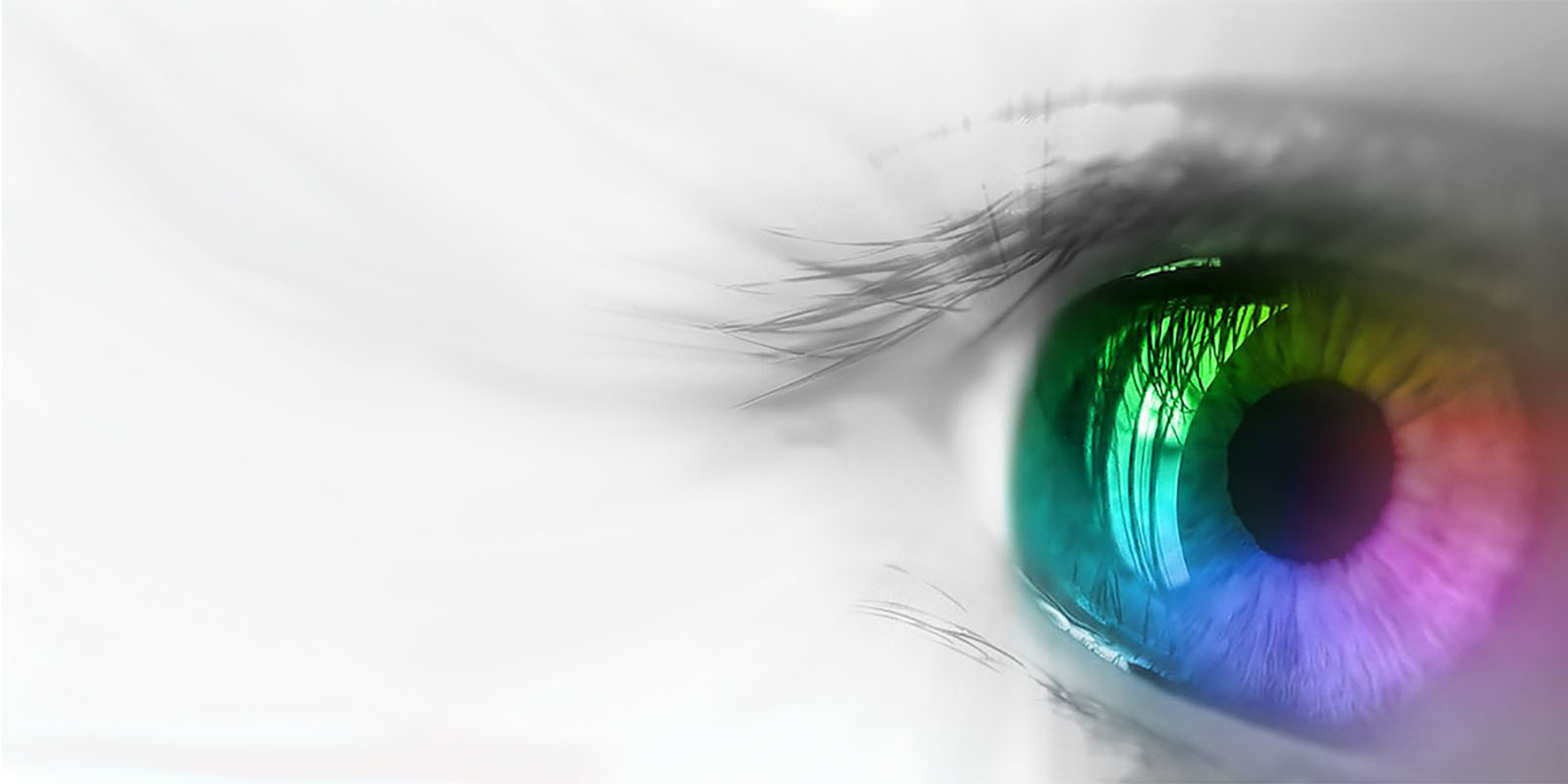 Gestione digitale e masterizzazioni